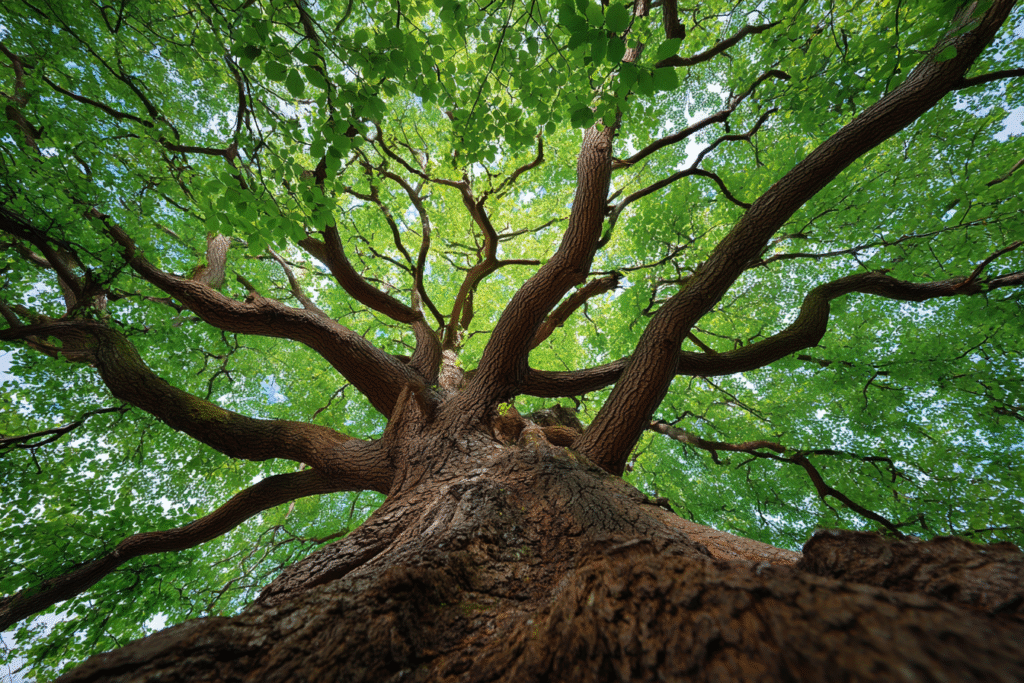 A tree with old and new branches a metaphor for the FAQ on how long do gaming laptops last A tree with old and new branches a metaphor for the FAQ on how long do gaming laptops last