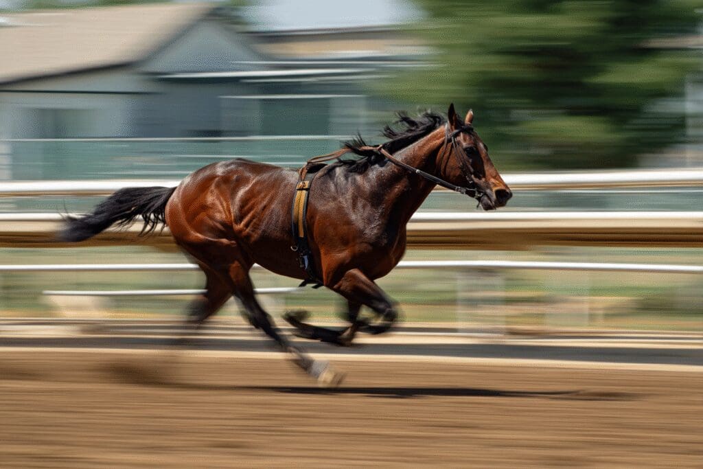 A horse being held back to a steady pace illustrating the answer to the FAQ does VSync lower FPS